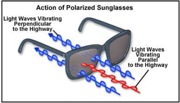 polarizing physics polarized sunglasses block filters polarization horizontally glare source figure vertically reducing